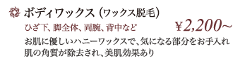 ボディワックス(ワックス脱毛)